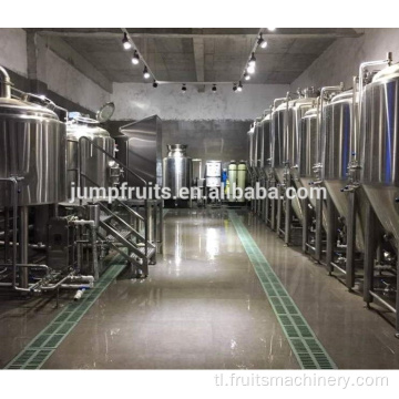 Strawberry/Mulberry/Pineapple Fruit Wine Processing Line